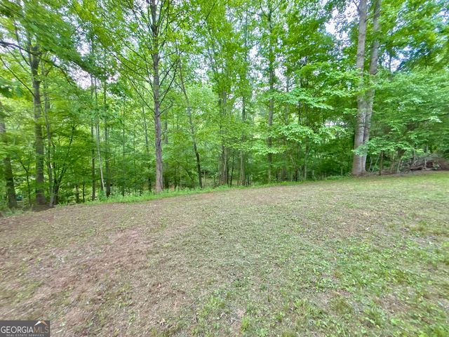 LT 5 Spiva Cove Road, Blairsville, GA 30512