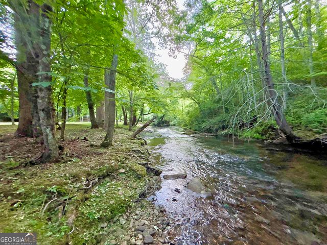 LT 5 Spiva Cove Road, Blairsville, GA 30512