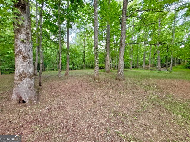 LT 5 Spiva Cove Road, Blairsville, GA 30512