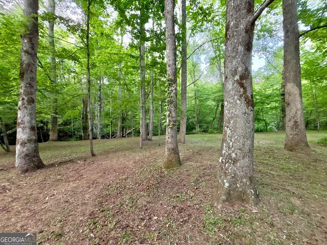 LT 5 Spiva Cove Road, Blairsville, GA 30512