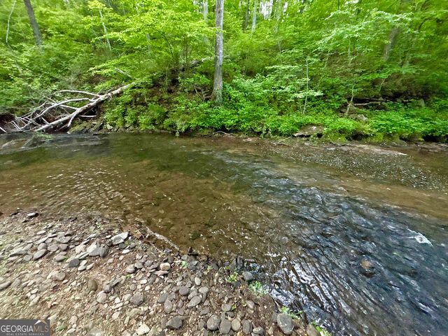 LT 5 Spiva Cove Road, Blairsville, GA 30512