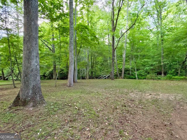 LT 5 Spiva Cove Road, Blairsville, GA 30512