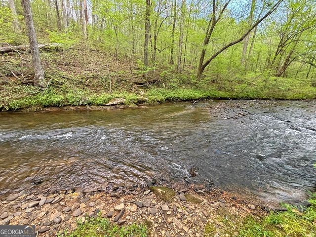 LT 5 Spiva Cove Road, Blairsville, GA 30512