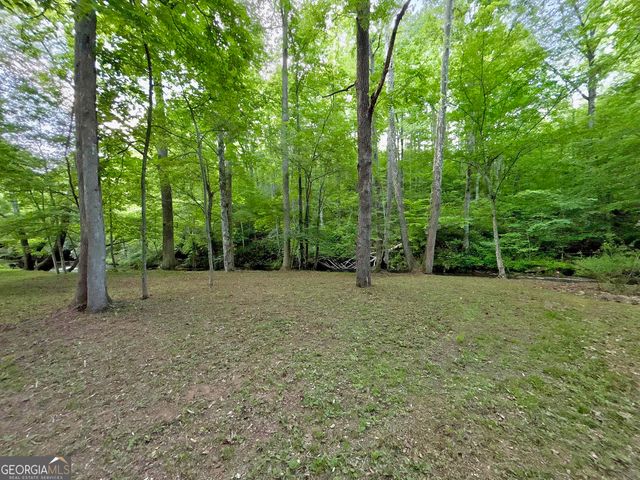 LT 5 Spiva Cove Road, Blairsville, GA 30512