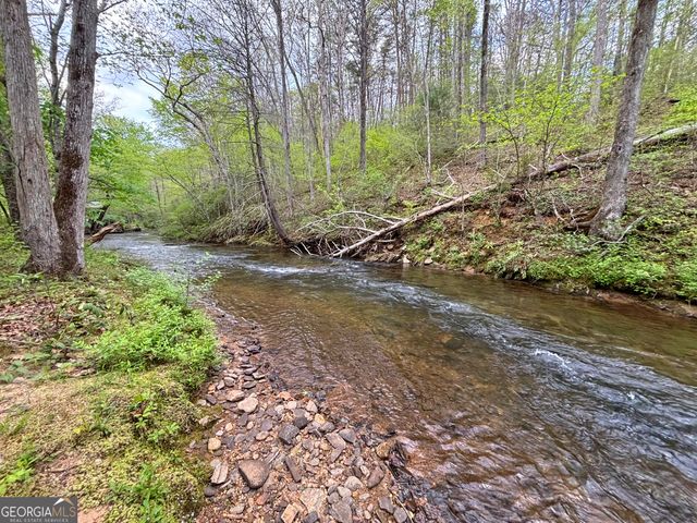LT 5 Spiva Cove Road, Blairsville, GA 30512