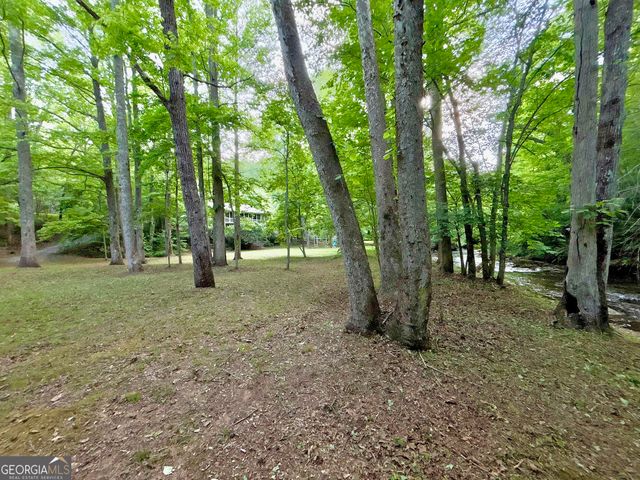LT 5 Spiva Cove Road, Blairsville, GA 30512