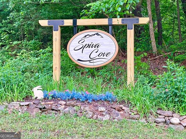 LT 5 Spiva Cove Road, Blairsville, GA 30512