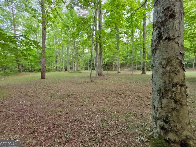LT 5 Spiva Cove Road, Blairsville, GA 30512
