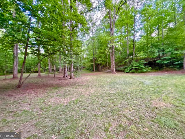 LT 5 Spiva Cove Road, Blairsville, GA 30512