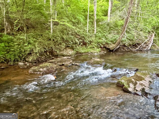 LT 5 Spiva Cove Road, Blairsville, GA 30512