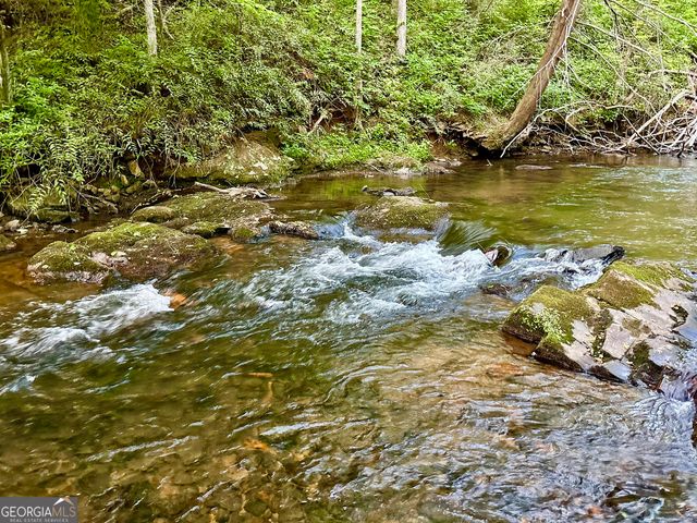 LT 5 Spiva Cove Road, Blairsville, GA 30512