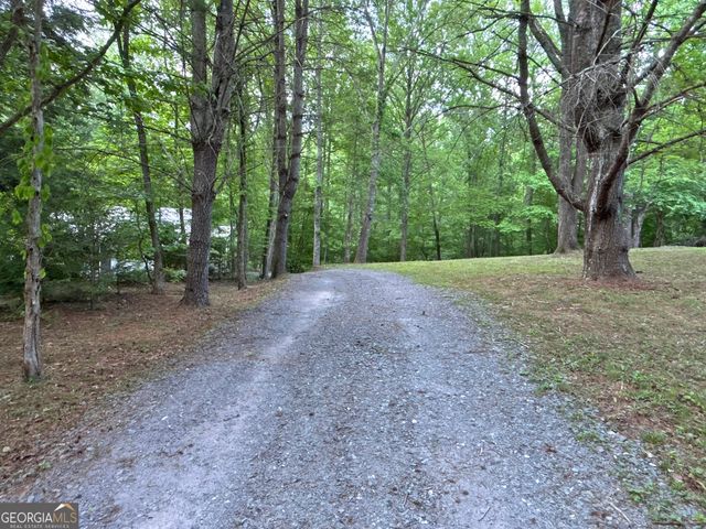 LT 5 Spiva Cove Road, Blairsville, GA 30512
