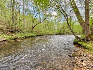 LT 5 Spiva Cove Road, Blairsville, GA 30512