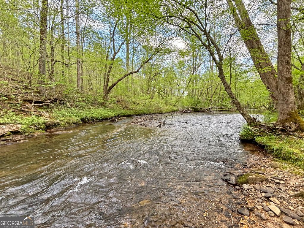 LT 5 Spiva Cove Road, Blairsville, GA 30512