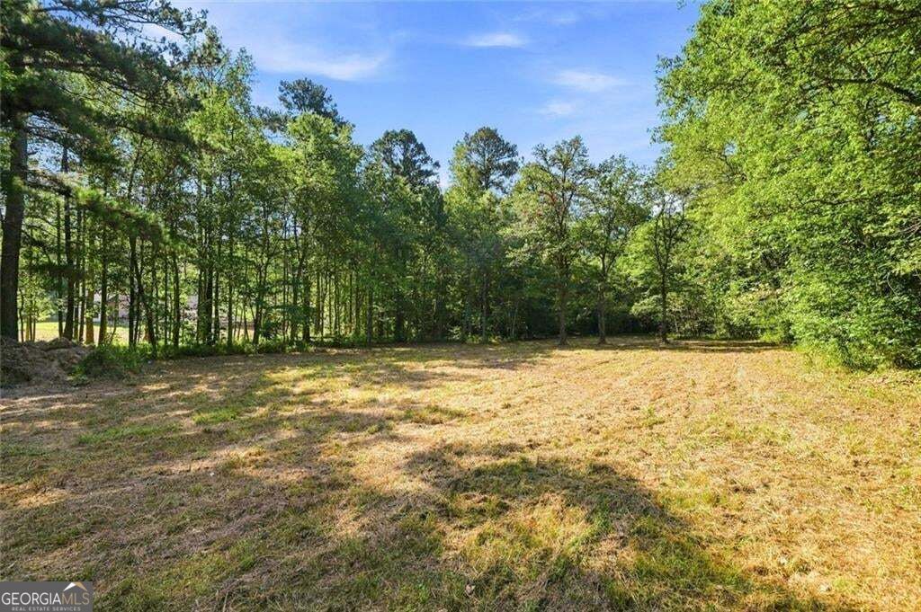 378 Ficklen Place, Canton, GA 30114 — photo 3
