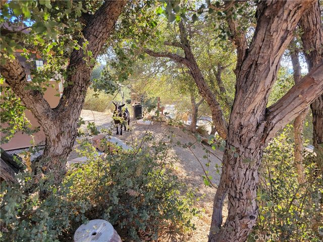 3131 Whispering Pines Rd, Pinon Hills, CA 92397