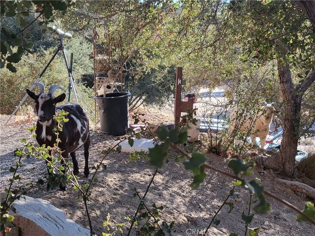 3131 Whispering Pines Rd, Pinon Hills, CA 92397