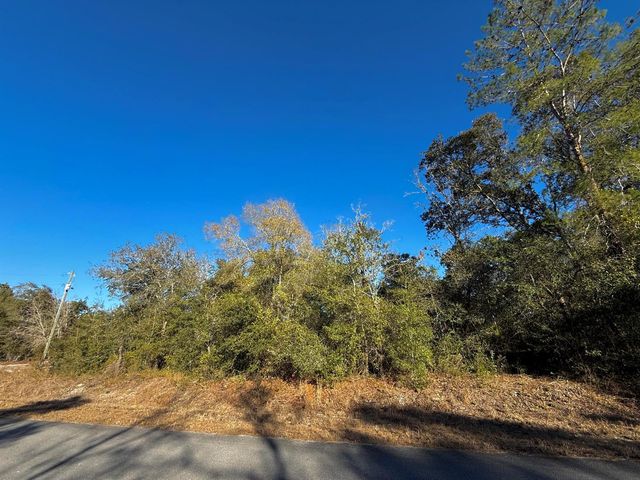 Tbd Lot 35 SW Lobelia Court, Dunnellon, FL 34431
