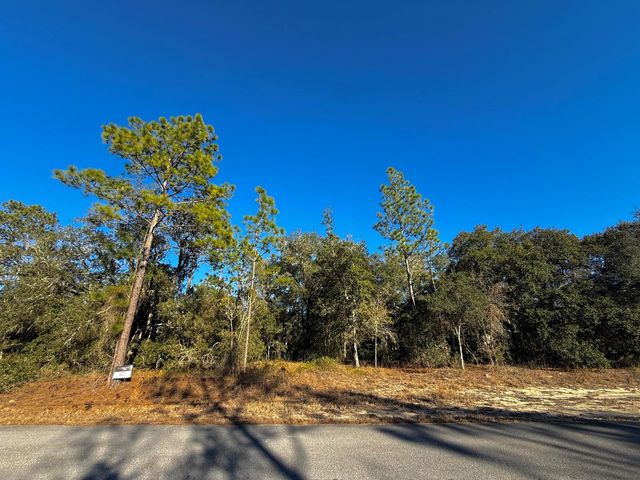Tbd Lot 35 SW Lobelia Court, Dunnellon, FL 34431