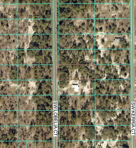 Tbd Lot 35 SW Lobelia Court, Dunnellon, FL 34431