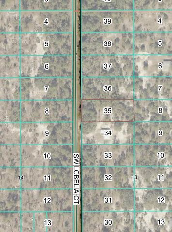 Tbd Lot 35 SW Lobelia Court, Dunnellon, FL 34431