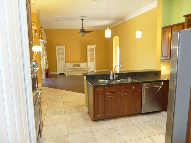 6000 TREMAYNE DRIVE, Mount Dora, FL 32757