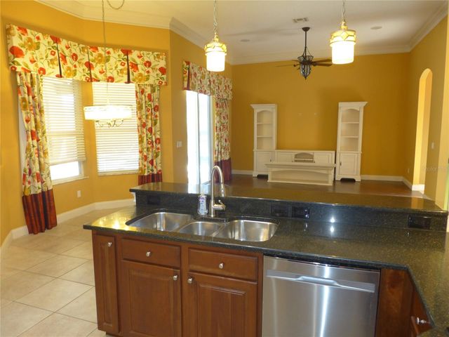 6000 TREMAYNE DRIVE, Mount Dora, FL 32757