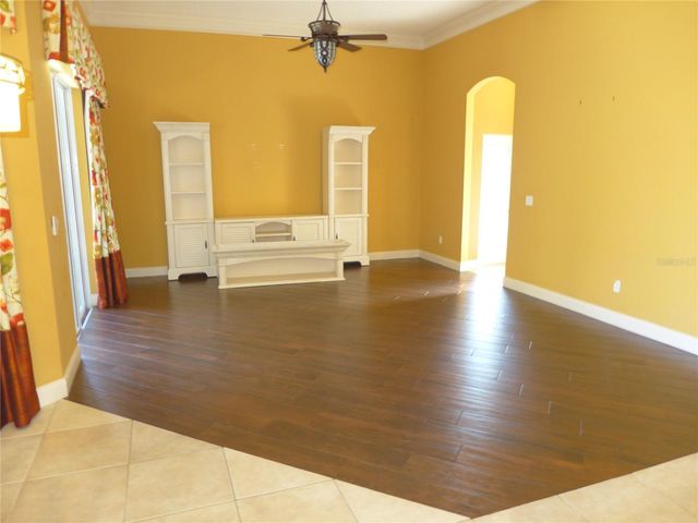 6000 TREMAYNE DRIVE, Mount Dora, FL 32757