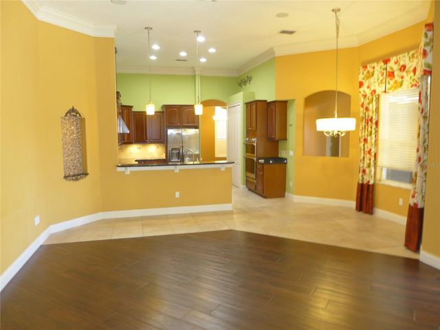 6000 TREMAYNE DRIVE, Mount Dora, FL 32757