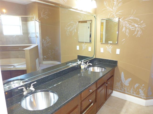 6000 TREMAYNE DRIVE, Mount Dora, FL 32757