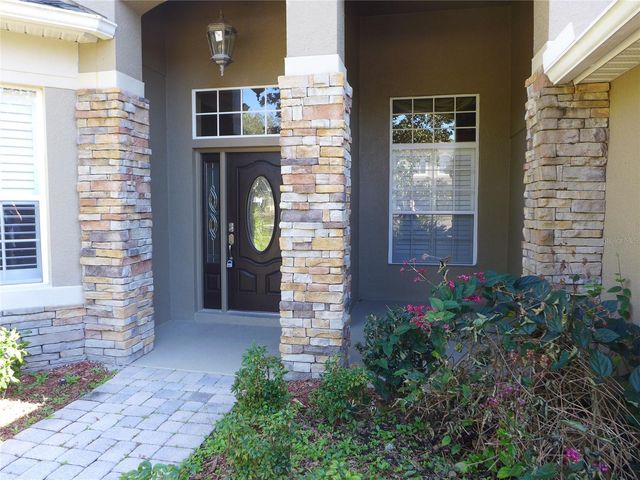 6000 TREMAYNE DRIVE, Mount Dora, FL 32757