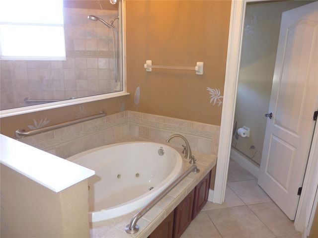 6000 TREMAYNE DRIVE, Mount Dora, FL 32757