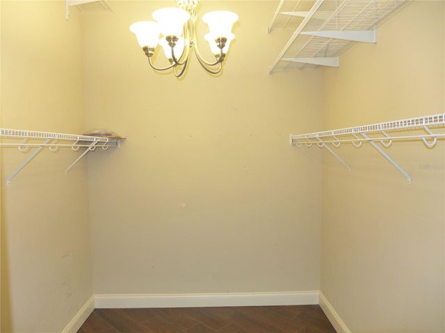 6000 TREMAYNE DRIVE, Mount Dora, FL 32757