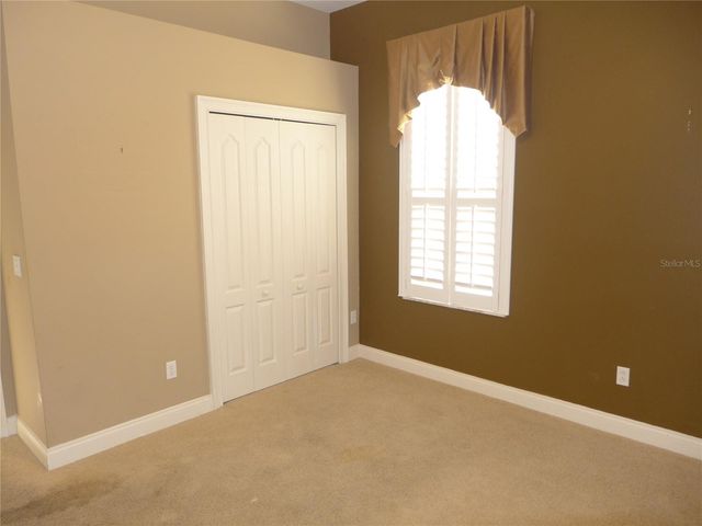 6000 TREMAYNE DRIVE, Mount Dora, FL 32757