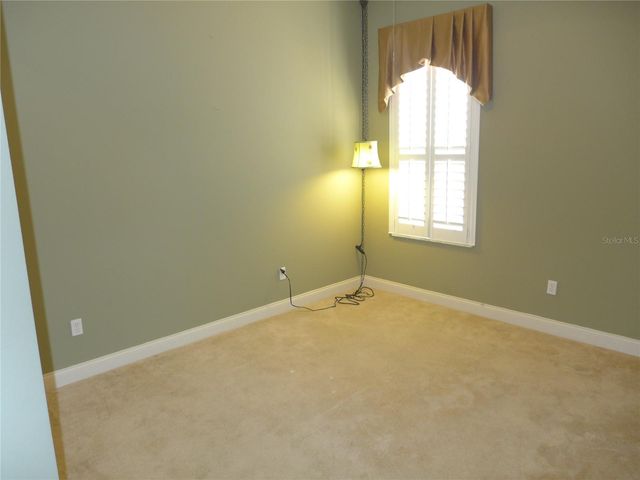 6000 TREMAYNE DRIVE, Mount Dora, FL 32757