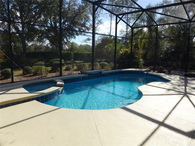 6000 TREMAYNE DRIVE, Mount Dora, FL 32757