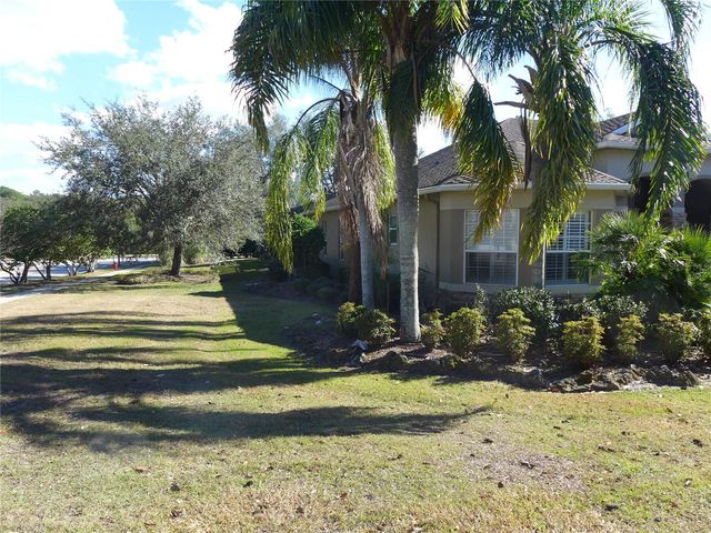 6000 TREMAYNE DRIVE, Mount Dora, FL 32757