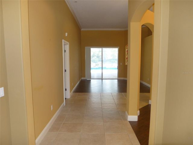 6000 TREMAYNE DRIVE, Mount Dora, FL 32757