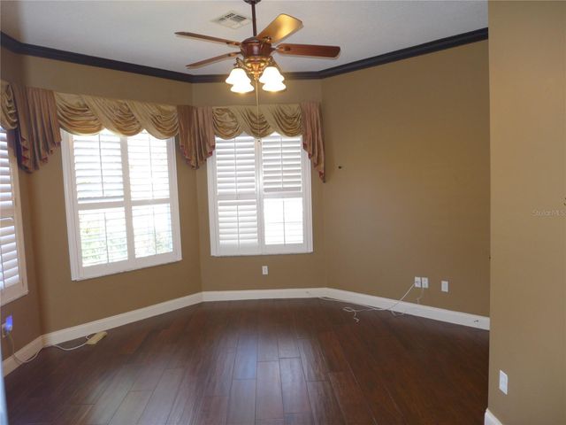 6000 TREMAYNE DRIVE, Mount Dora, FL 32757