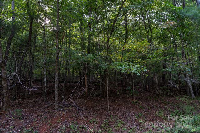 0 Swans Way E 249&250, Lake Lure, NC 28746