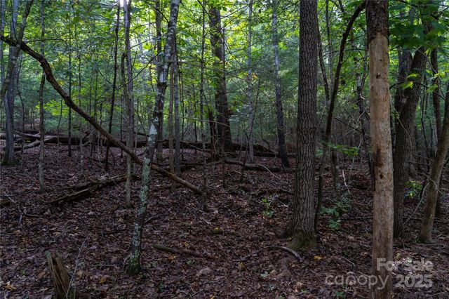 0 Swans Way E 249&250, Lake Lure, NC 28746