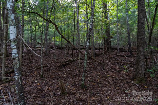 0 Swans Way E 249&250, Lake Lure, NC 28746