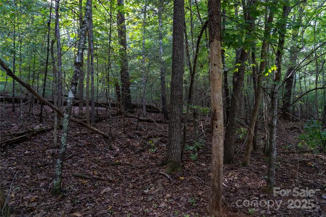 0 Swans Way E 249&250, Lake Lure, NC 28746