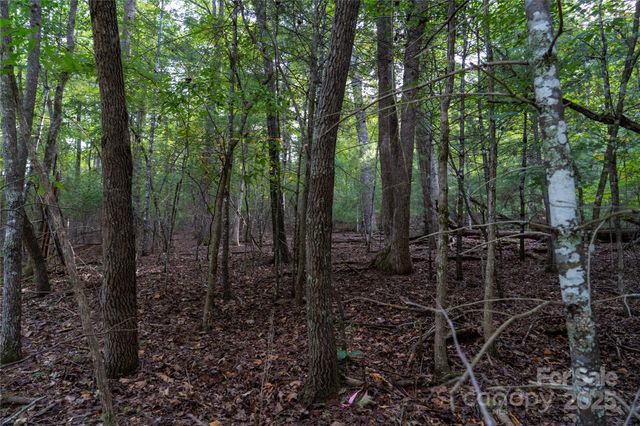 0 Swans Way E 249&250, Lake Lure, NC 28746