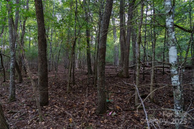 0 Swans Way E 249&250, Lake Lure, NC 28746