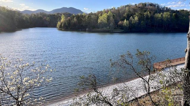 0 Swans Way E 249&250, Lake Lure, NC 28746