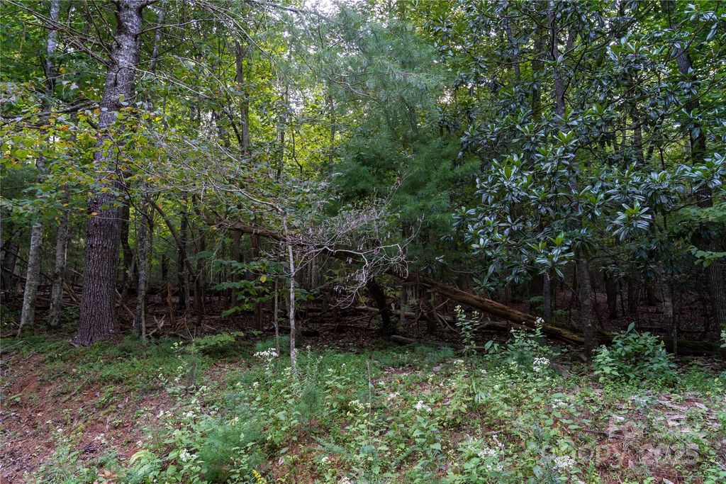 0 Swans Way E 249&250, Lake Lure, NC 28746