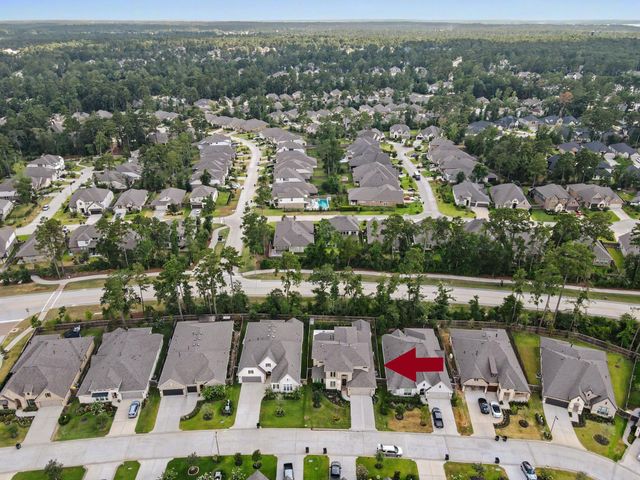 219 Sunrise Canvas Drive, Conroe, TX 77318