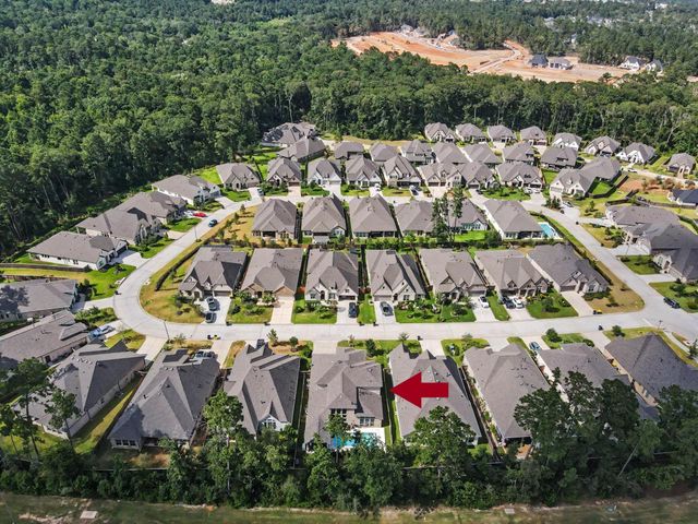 219 Sunrise Canvas Drive, Conroe, TX 77318
