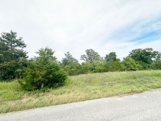 000 Shady Oaks Shore, Lot 46, Forsyth, MO 65653